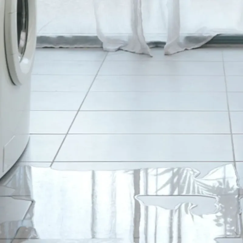 Appliance Leak Cleanup in Canadian, TX