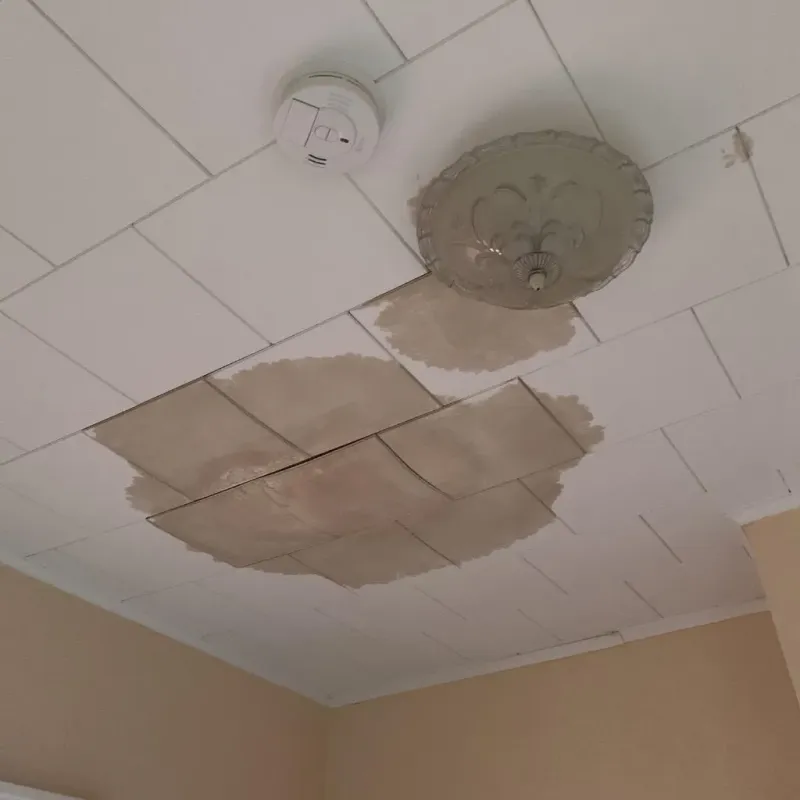 Ceiling Water Damage Repair in Canadian, TX