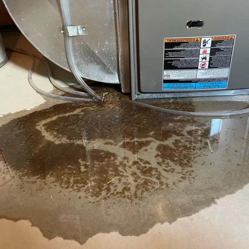 Pipe Burst and Leak Restoration in Canadian, TX