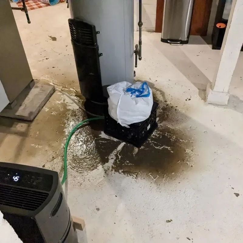 Sewage Backup Cleanup Service in Canadian, TX